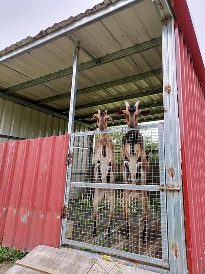 مبيت وإفطار رويسي 依比鴨鴨水岸會館 Ducking House المظهر الخارجي الصورة